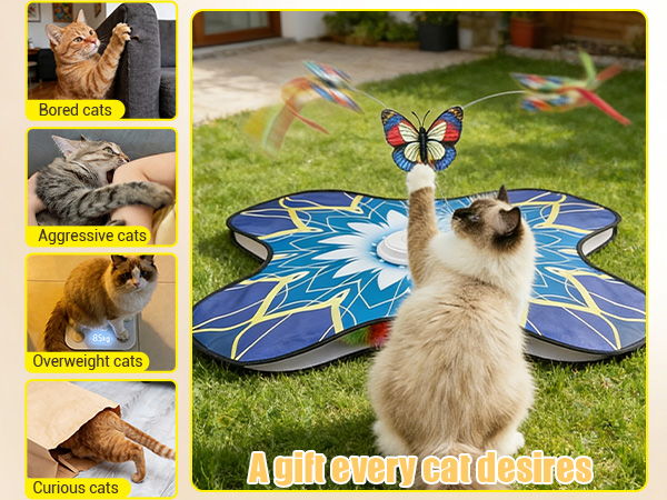 cat toys bored indoor