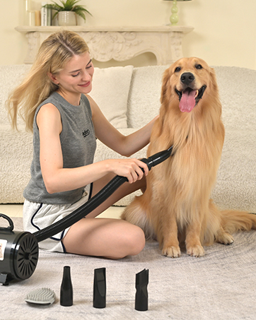 Pet grooming tool with multiple attachments shown next to a golden retriever. Woman using the device to groom the dog on a carpeted floor.