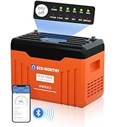 ECO-WORTHY 24V 100AH Bluetooth Lithium Battery with SOC LED Display, Built-in BMS with Low Temper...