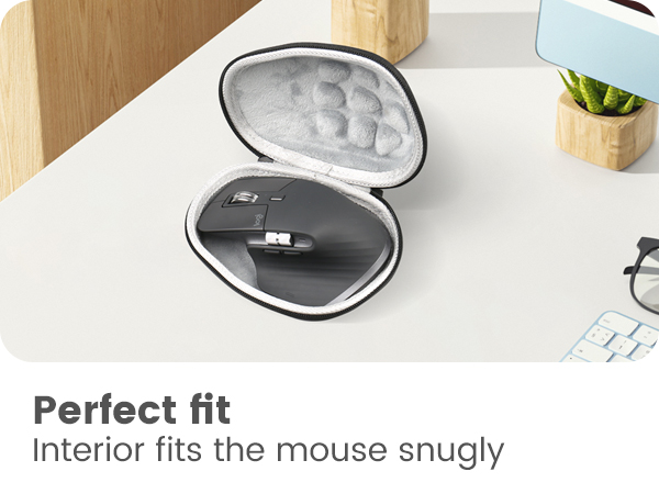 computer mouse case