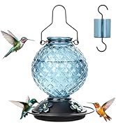 Tegarbed Glass Hummingbird Feeder for Outdoors Hanging, 25 OZ Humming Bird Nectar Feeder with 4 B...