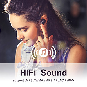 HiFi Lossless Sound Quality