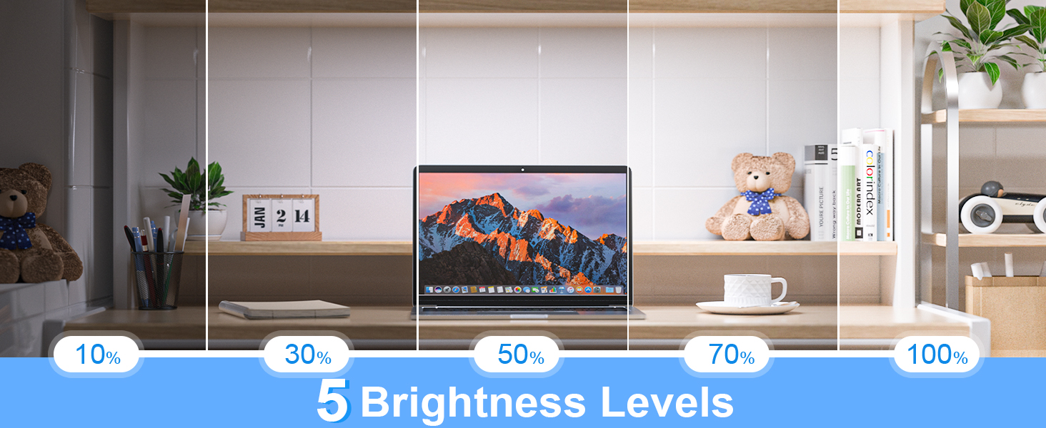Laptop display showing five brightness levels from 10% to 100%, set in a home office environment with plants and decor.