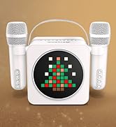 karaoke system karaoke equipment karaoke machine with 2 microphones