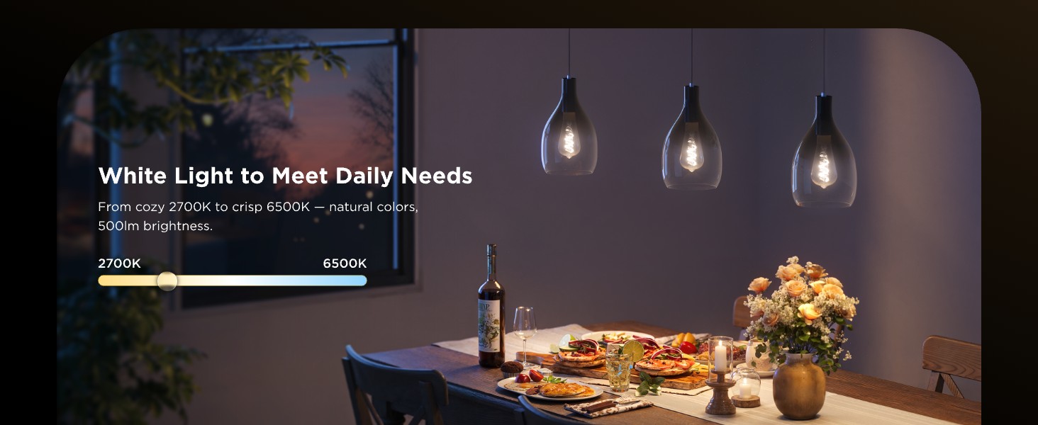 Govee smart edison bulbs ST19 white light dimmable