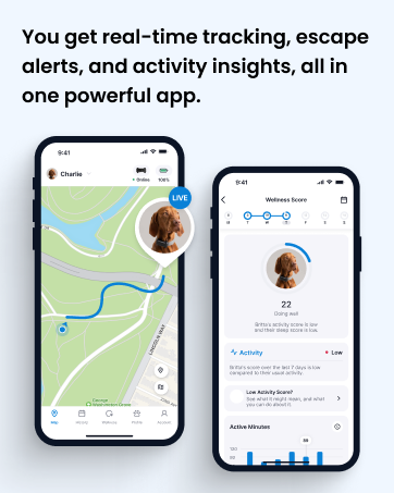 You get real-time tracking, escape alerts, and activity insights, all in one powerful app.