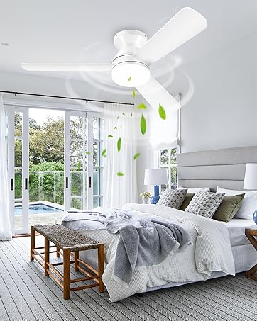 ceiling fans