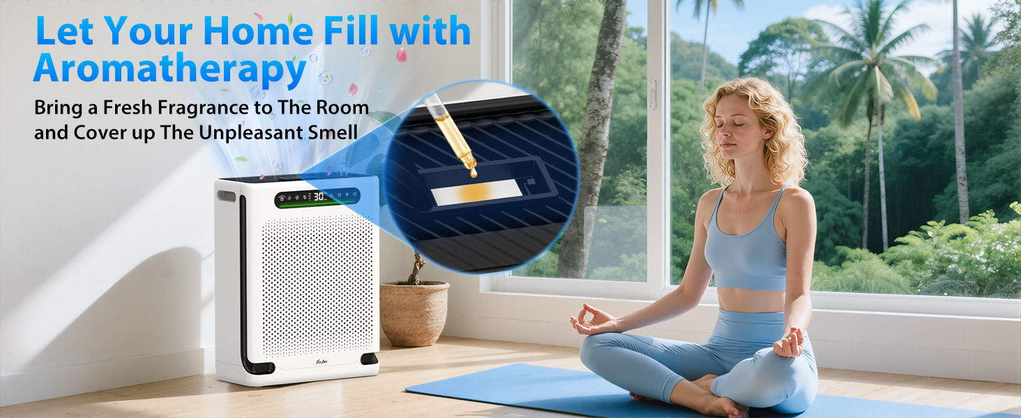 air cleaners for home