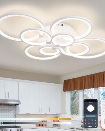 ceiling light