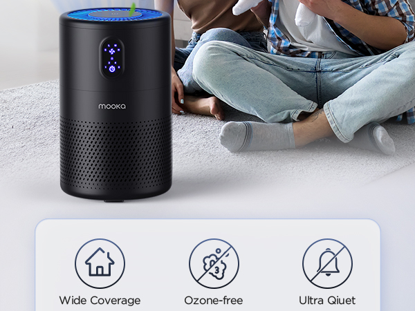 air purifiers for home large room