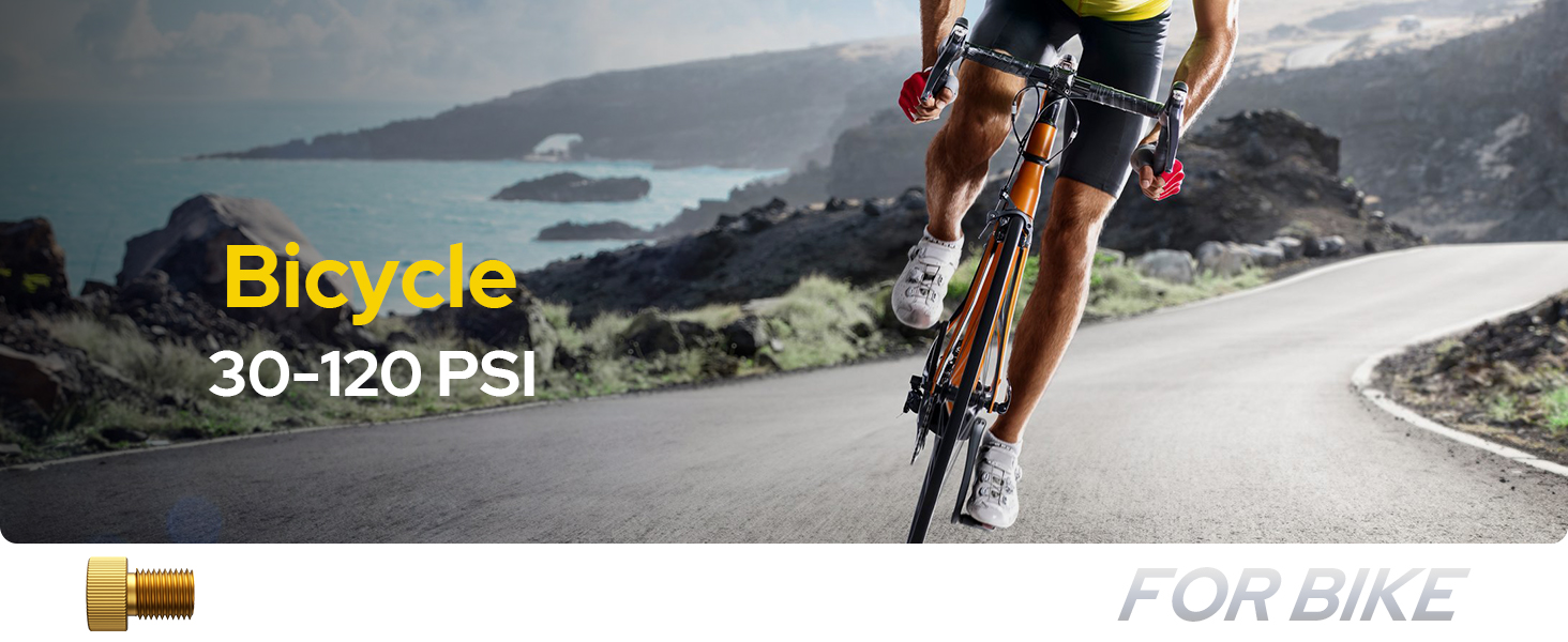 WARWOLF 160PSI Tire Inflator