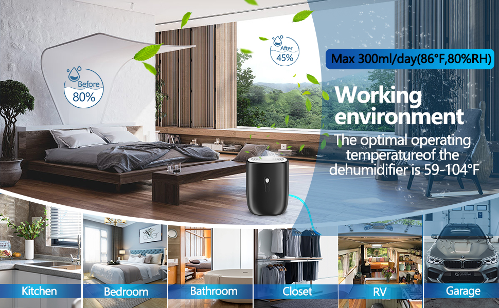 Dehumidifiers for Home