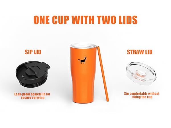 one cup with two lids