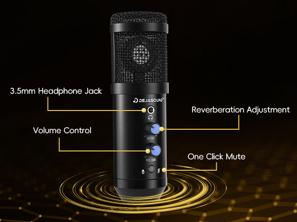 Studio Recording Microphone