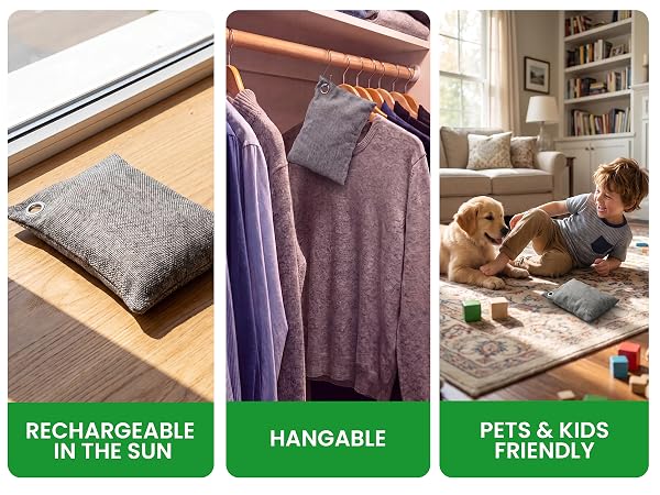 Rechargeable in the sun, hangable, pets &amp; kids friendly