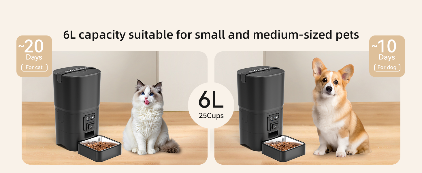 automatic cat feeder