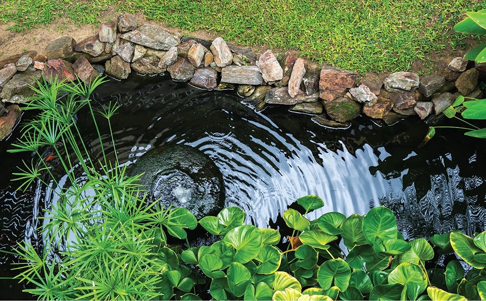 Water Garden, Pond, Aeration