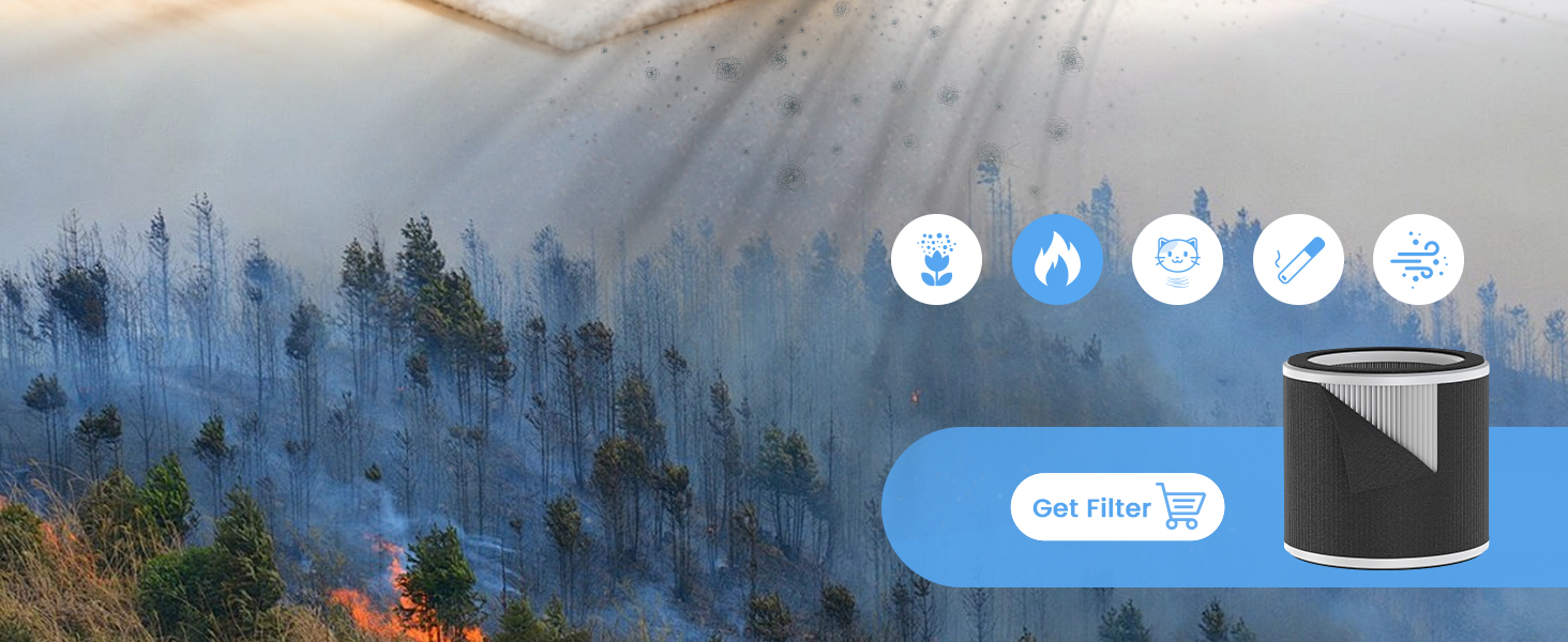 air purifier for wildfire