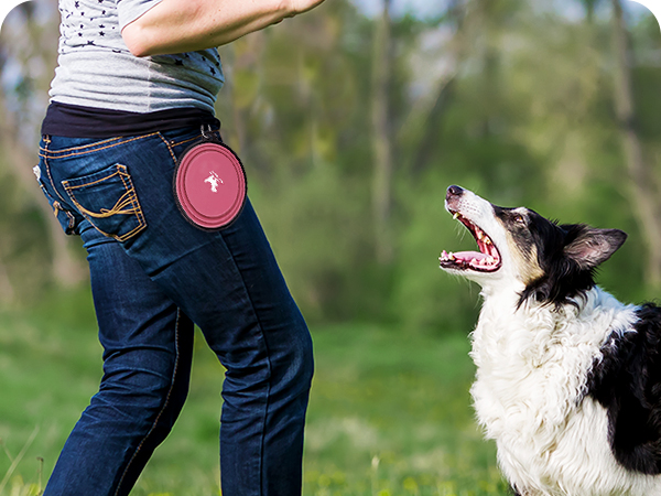 road trip pet accessories for car on the go travel dog water dispenser
