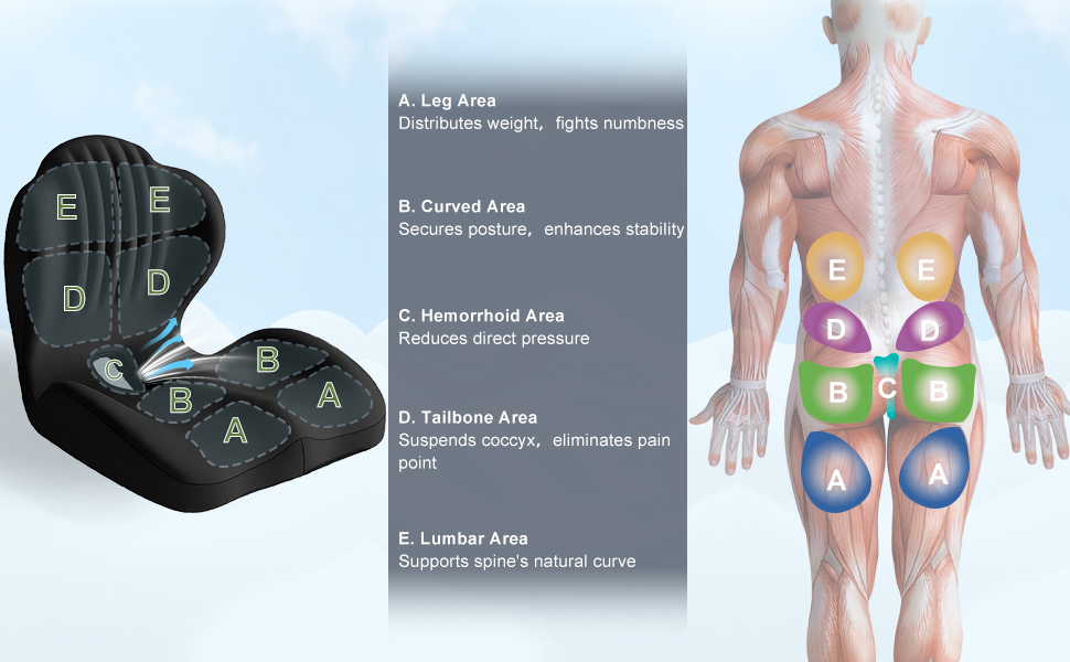 Seat Cushion for Office Chair and Car