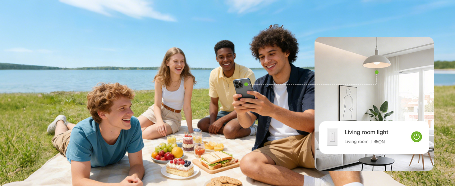 smart light single pole