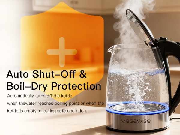 Electric Kettle