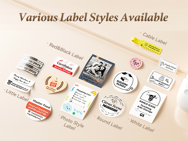 NIIMBOT B2 Pro Label Maker with Various Label Styles