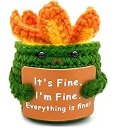 Emotional Support Dumpster Fire,Positive Crochet Animals,Office Gifts for Coworkers Colleague Fri...