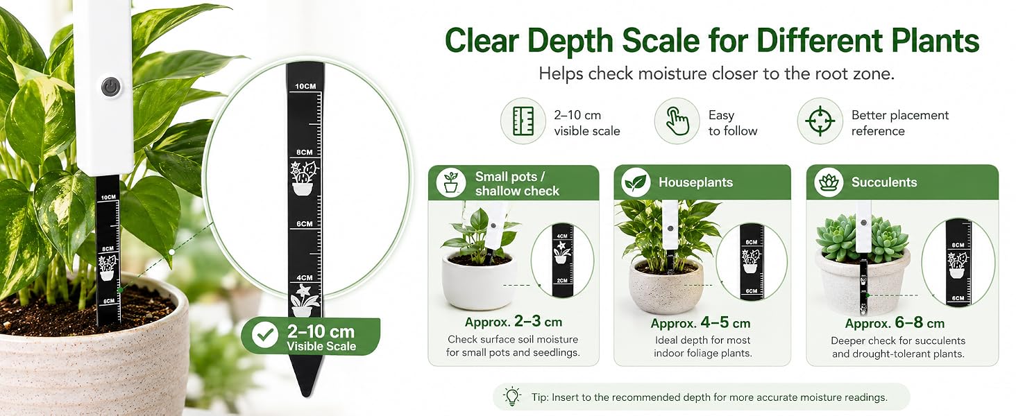 Clear Depth Scale for Different Plants