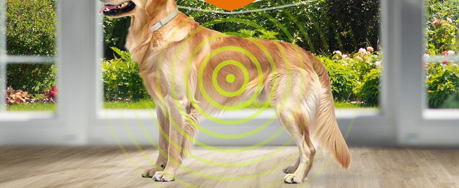 Target Area