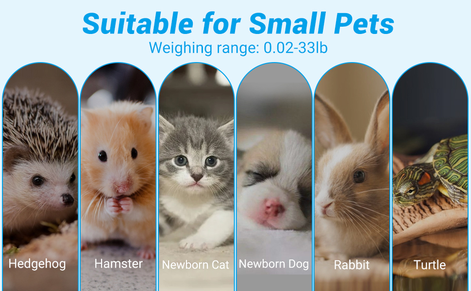 pet scale