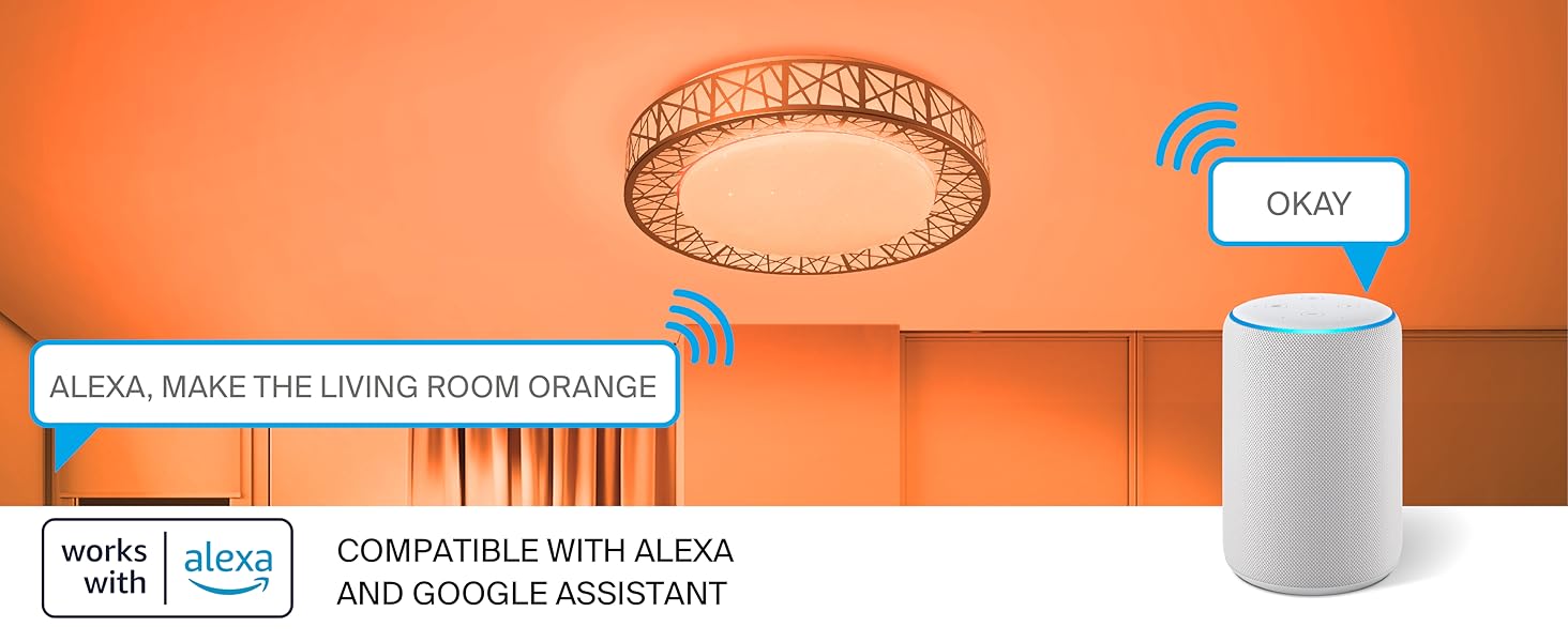 Alexa Google Assistant