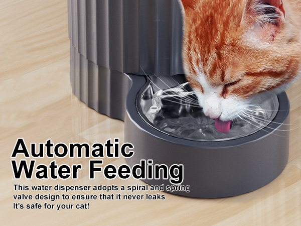 cat automatic feeder