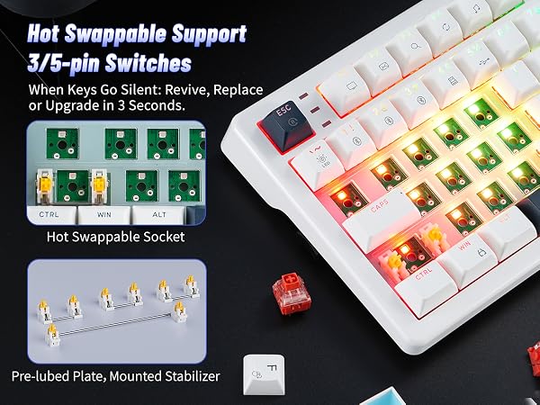 Hot Swappable Support 3/5-pin Switches