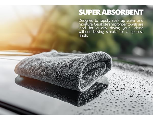 Absorb Mobile