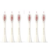 Replacement Toothbrush Brush Heads for Wagner &amp; Stern and Wagner Switzerland toothbrushes. (White)