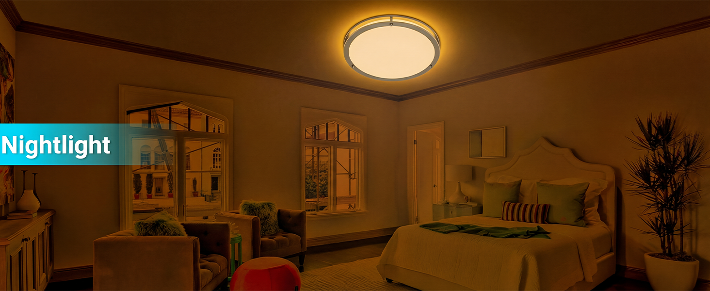 ceiling light with nightlight