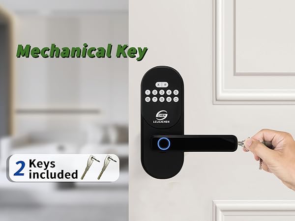 smart door lock with key