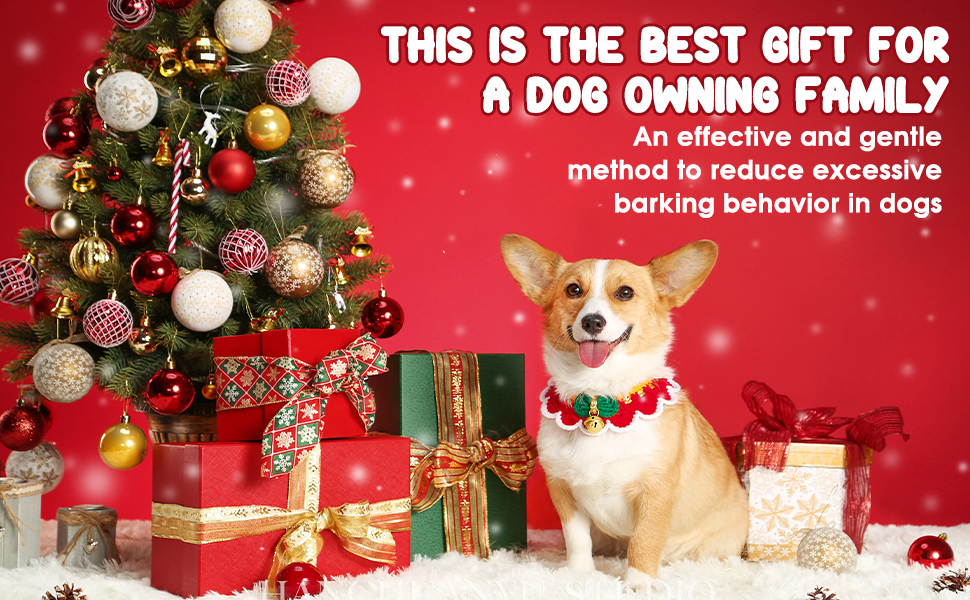 Dog Bark Deterrent Devices