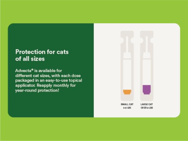 Protection for cats of all sizes small cat large cat
