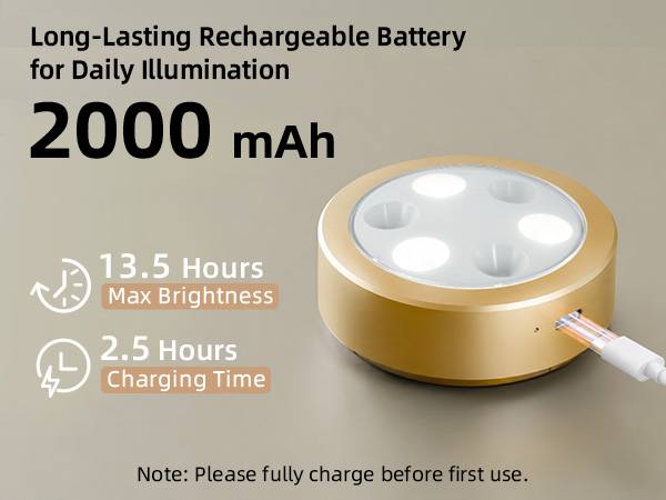 picture light battery operated