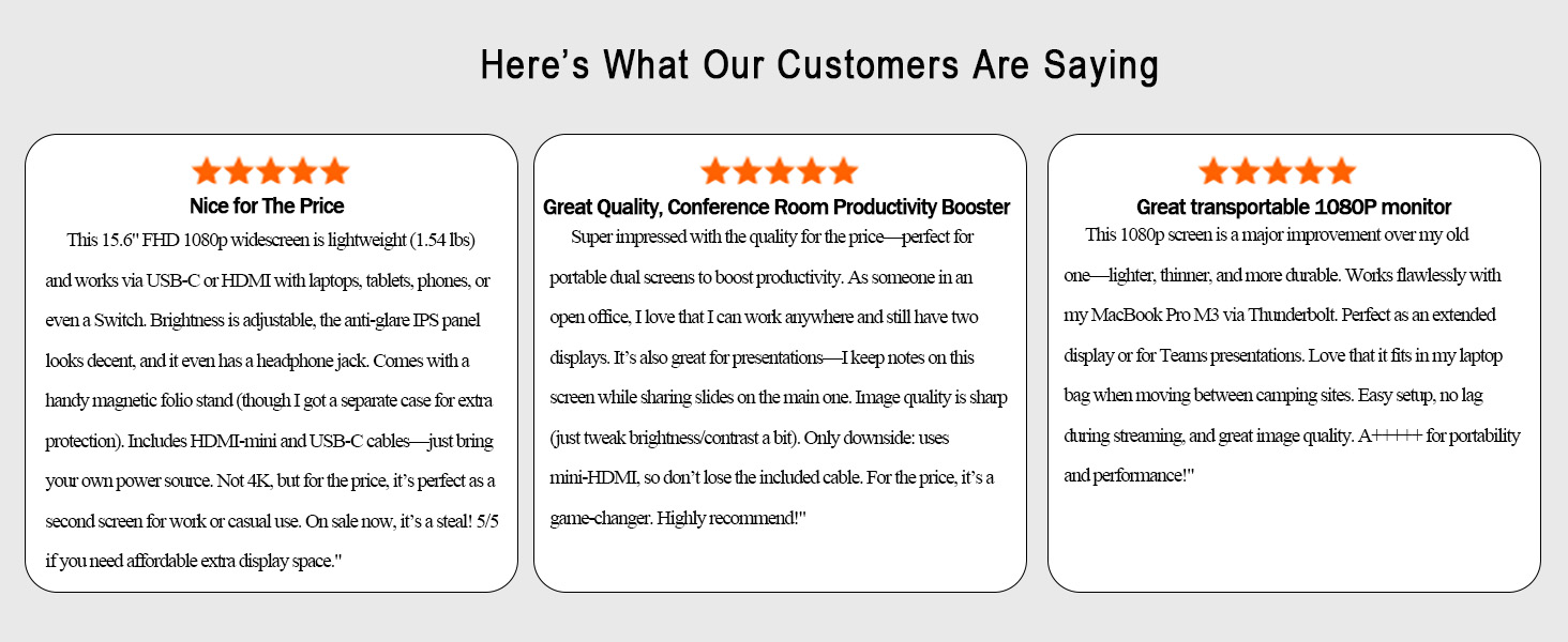 Portable display Monitor