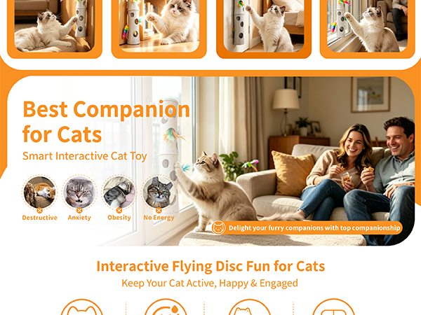 Funny Feather Cat Toy
