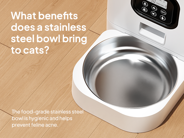 Automatic Cat Feeders