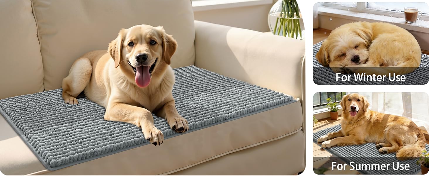 Dog Door Mat