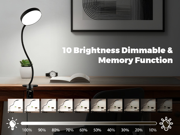 Desk Lamp