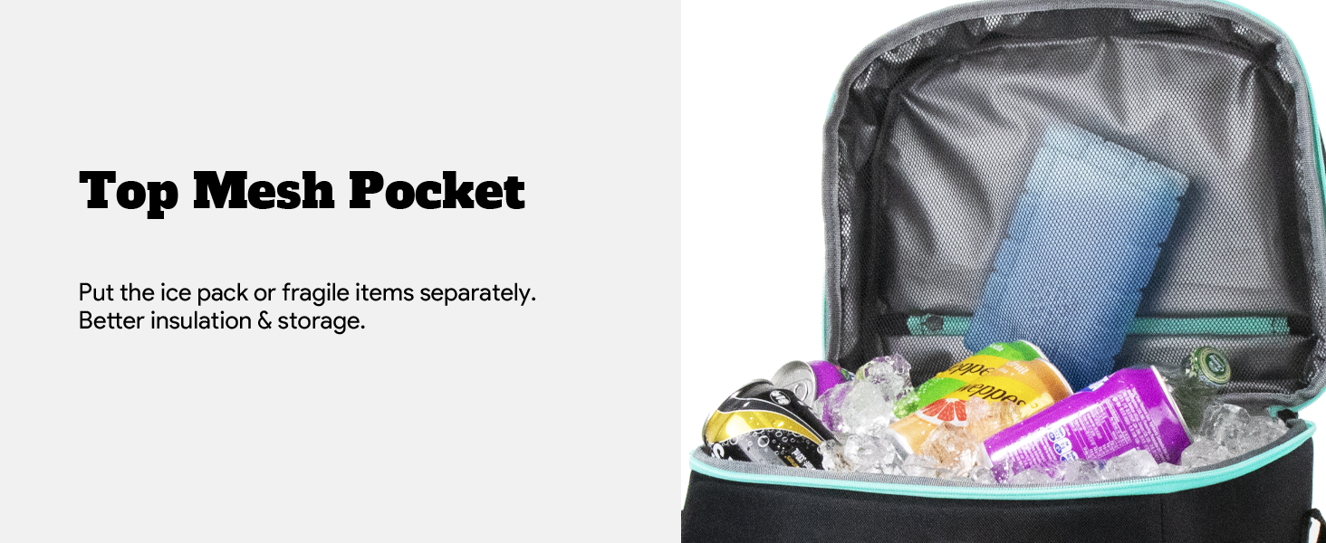 insulated delivery bag