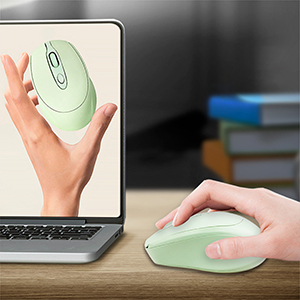 mouse