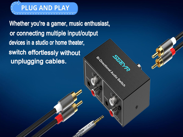 audio switch