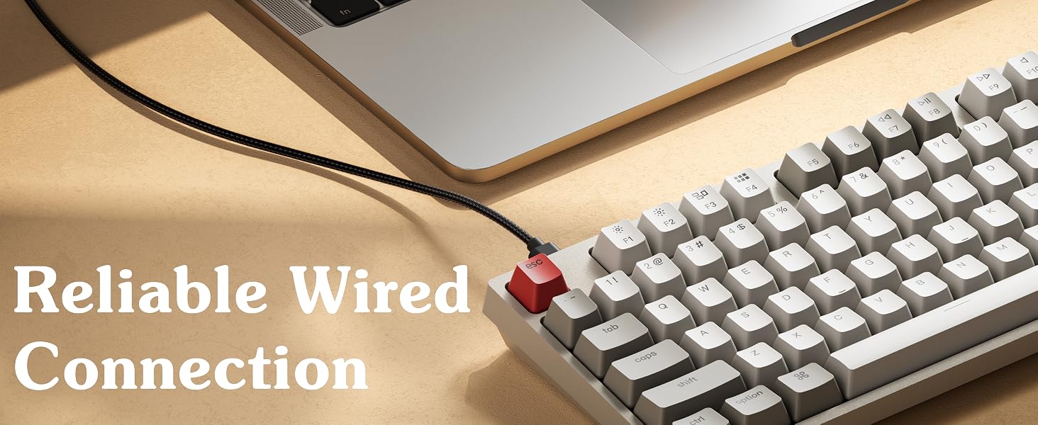 Keychron C2 Full Size Wired Mechanical Keyboard Retro